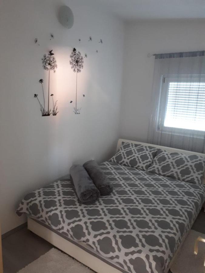 ויר Apartmani Plesa מראה חיצוני תמונה